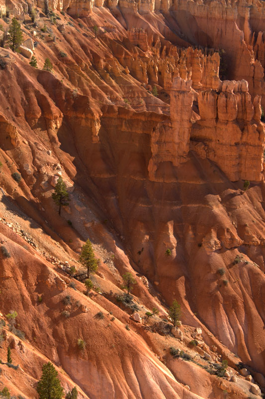 bryce2
