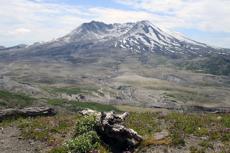 helens2