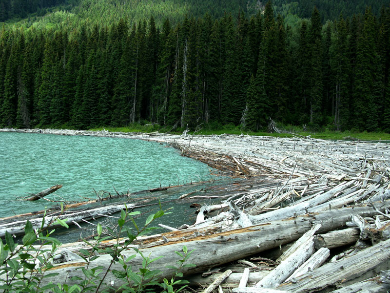 lillake
