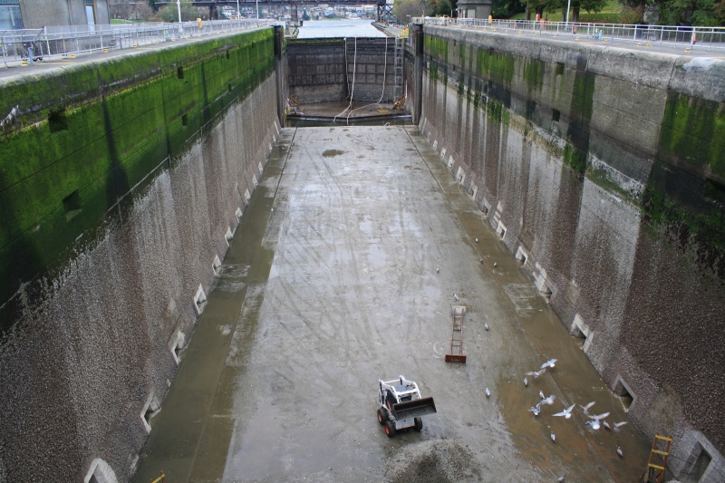 locks