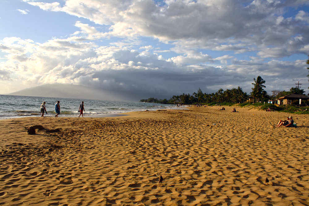 maui31