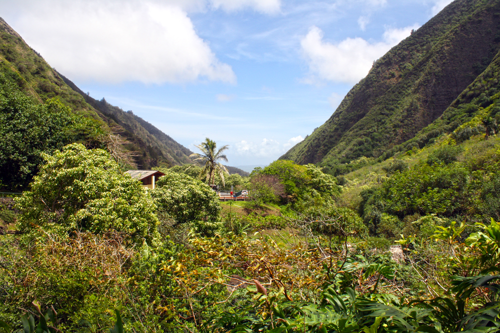 maui8