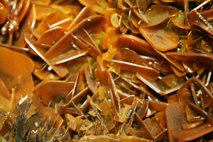 mineral5