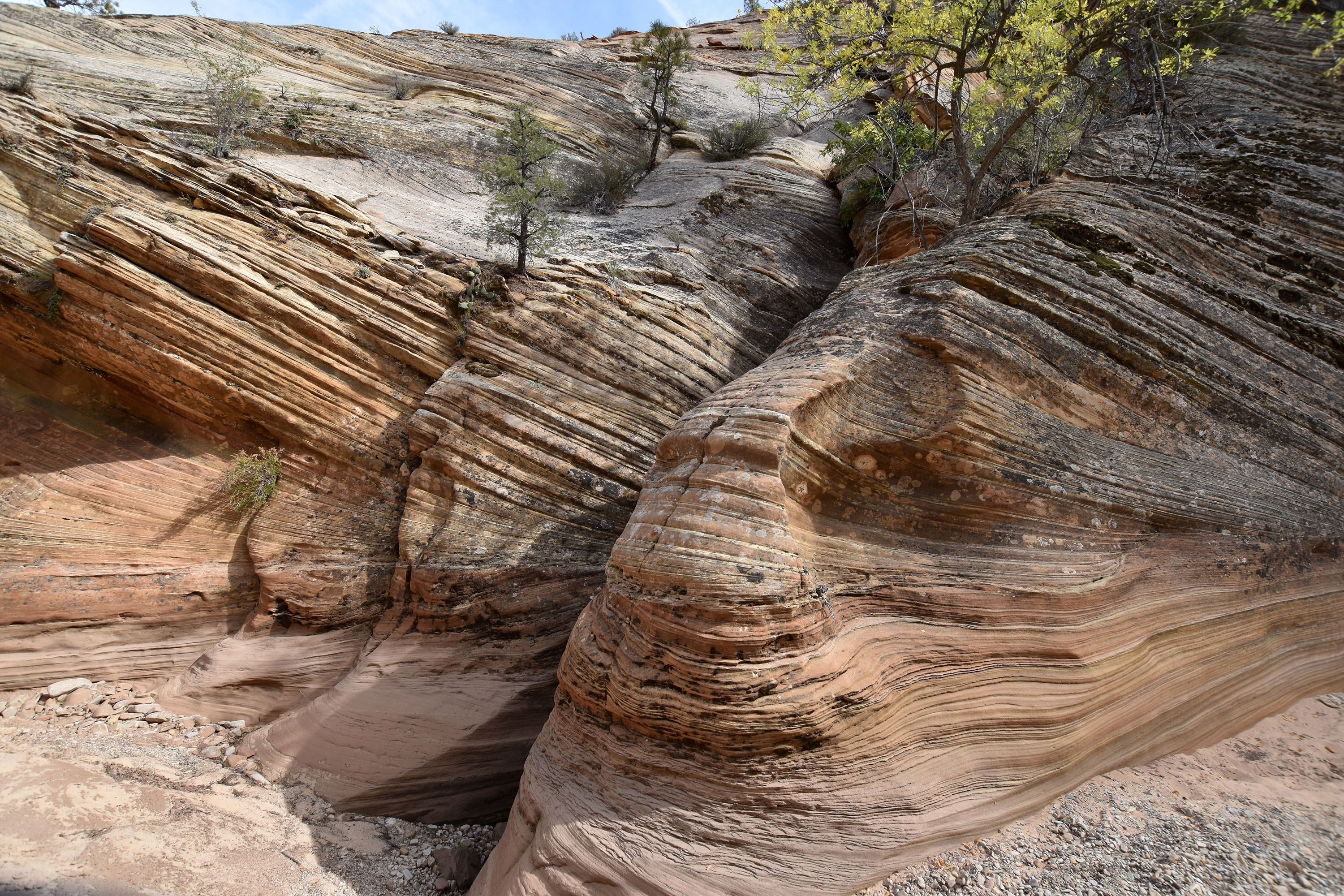 utah