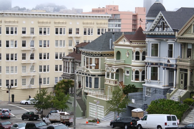 paintedladies2