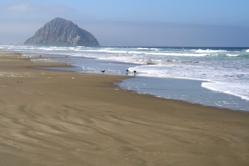 sandca1