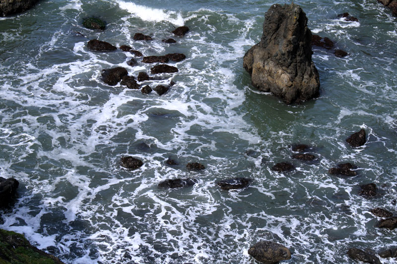sealrock4