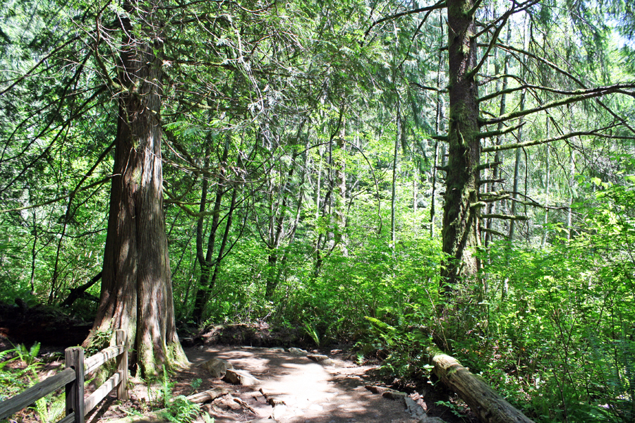 sm1418