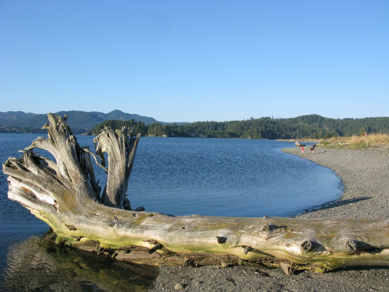 sooke2
