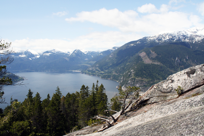 stawamus6