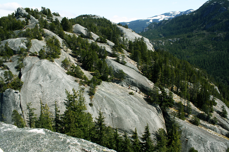 stawamus7