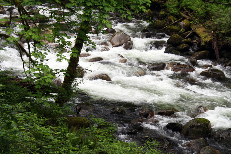 Wallace Falls