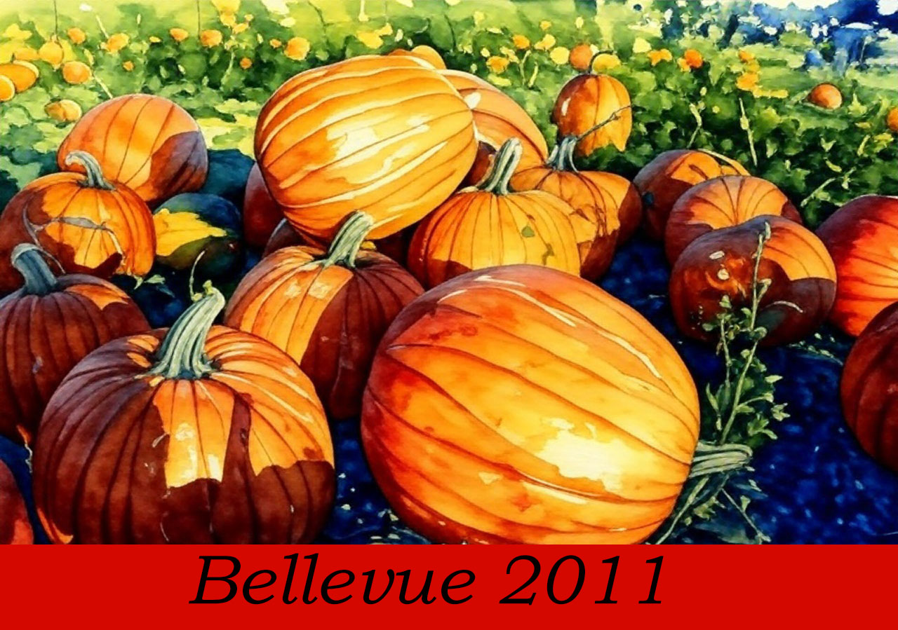 Белвью2011