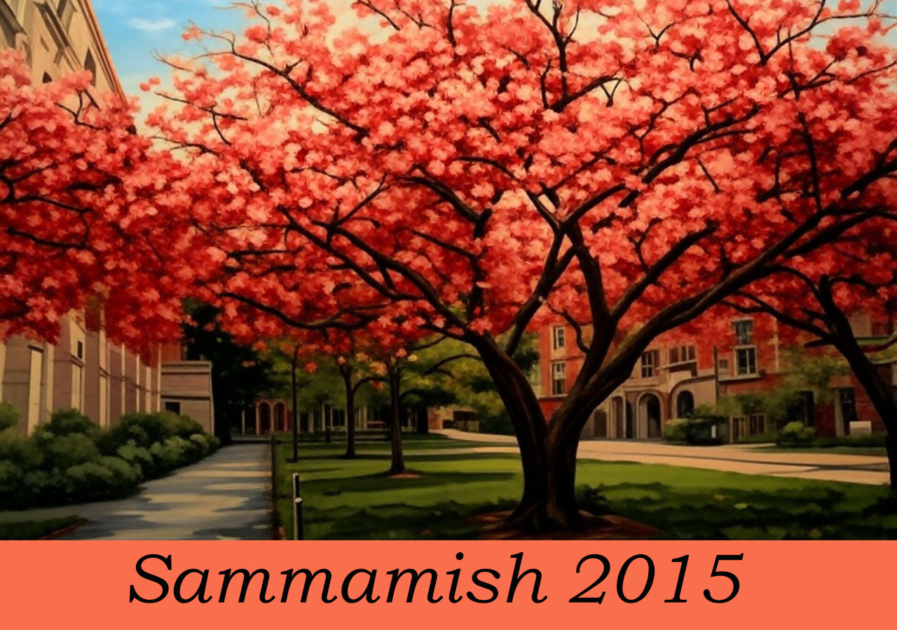 Саммамиш2015