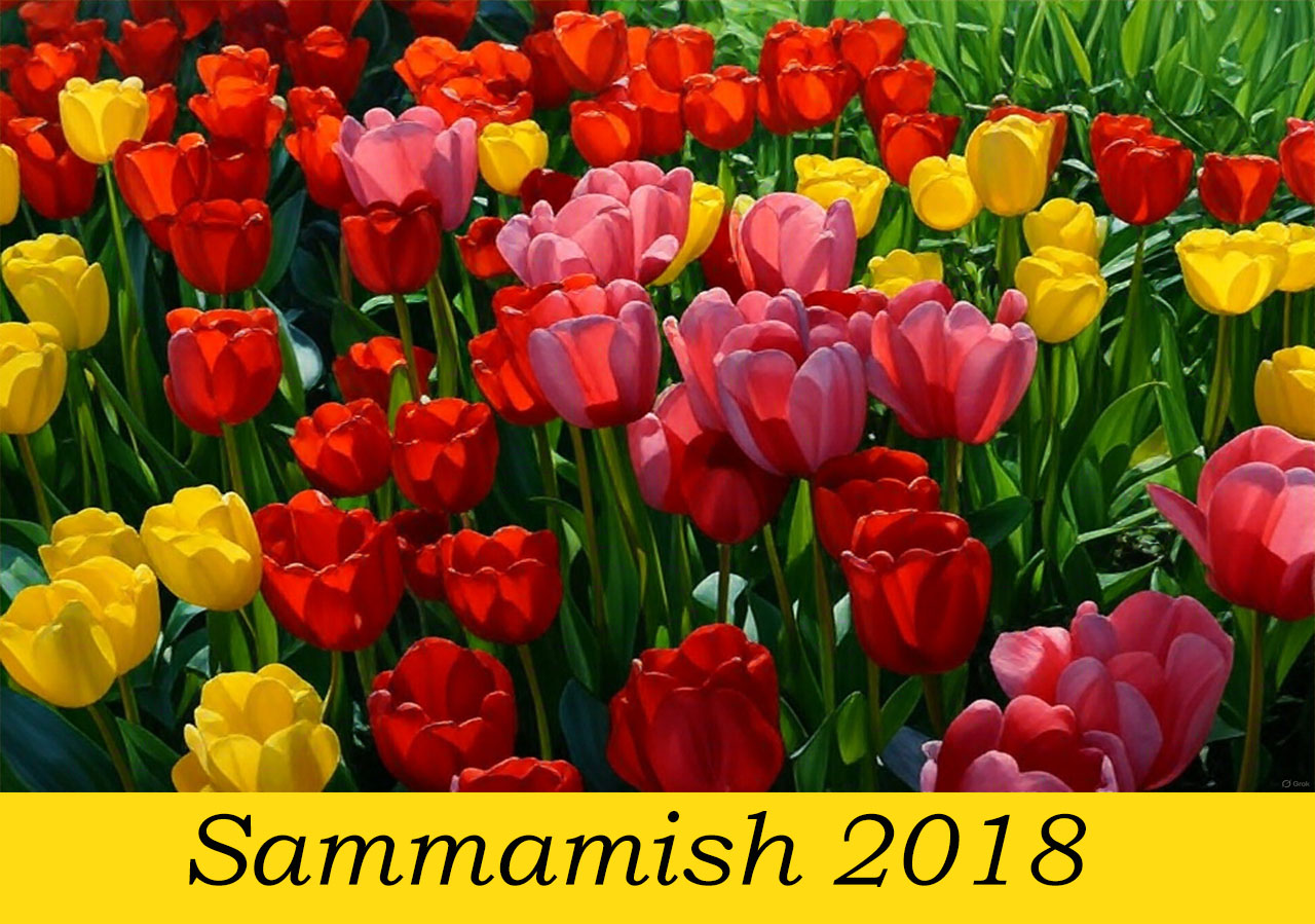 Саммамиш2018