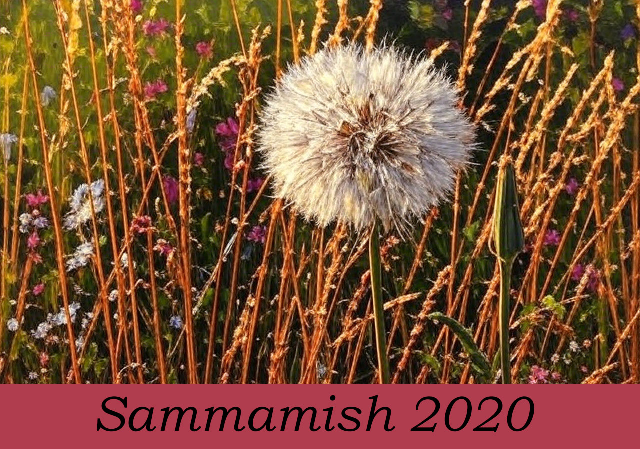 Саммамиш2020
