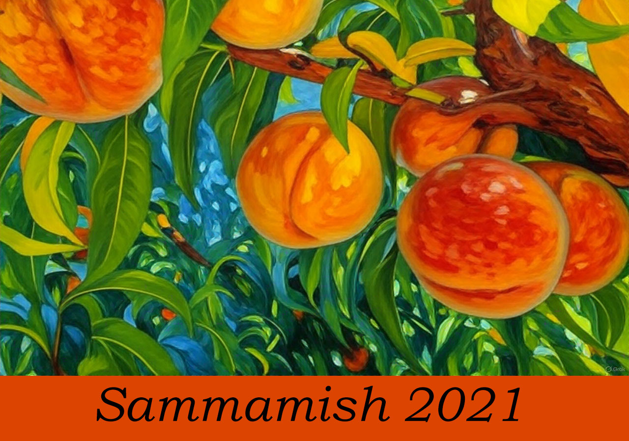 Саммамиш2021