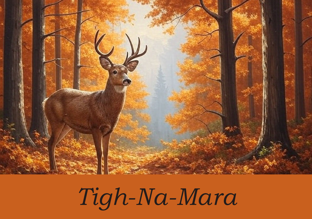 Tigh-Na-Mara