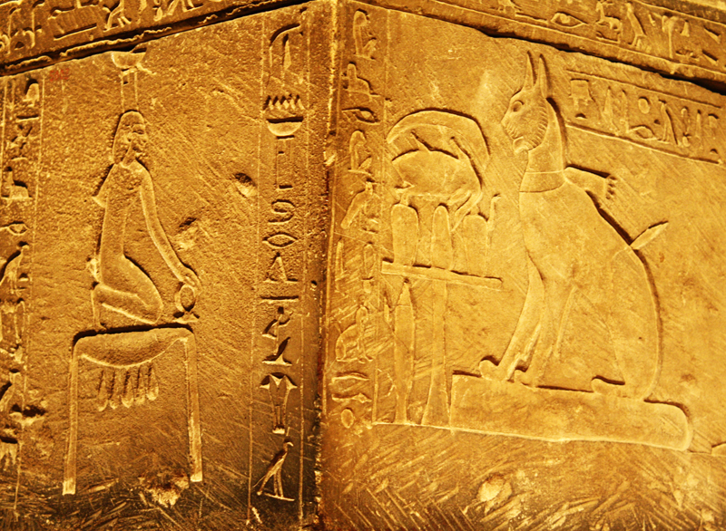 tut3