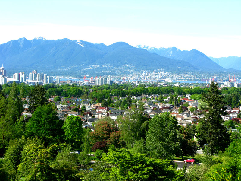 view